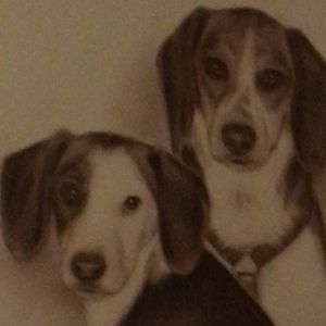 Meet your Posher, Maureen